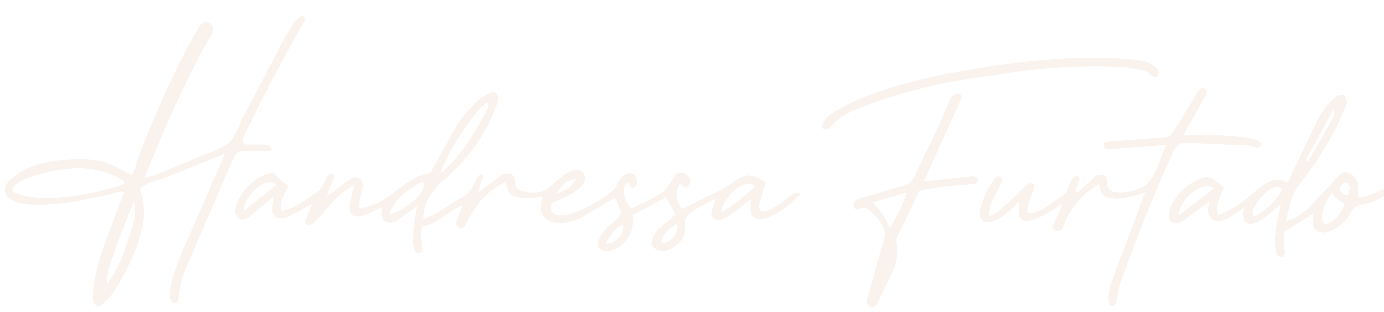 Handressa Furtado